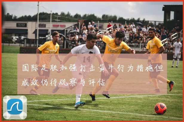 国际足联加强打击黄牛行为措施但成效仍待观察与评估