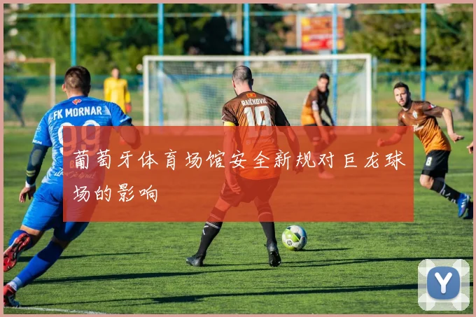 葡萄牙体育场馆安全新规对巨龙球场的影响