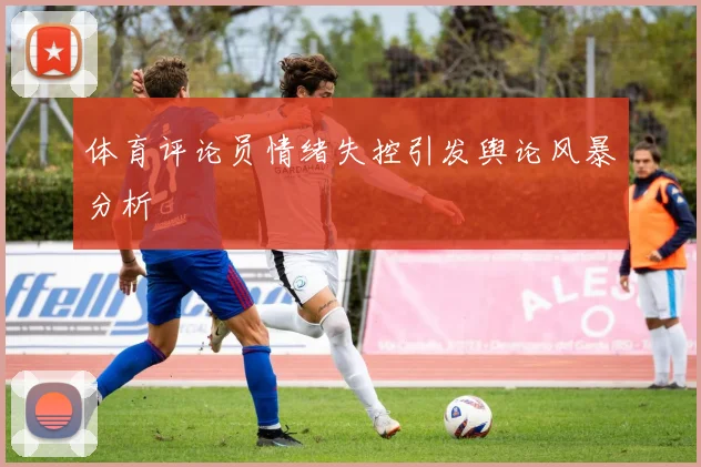 体育评论员情绪失控引发舆论风暴分析