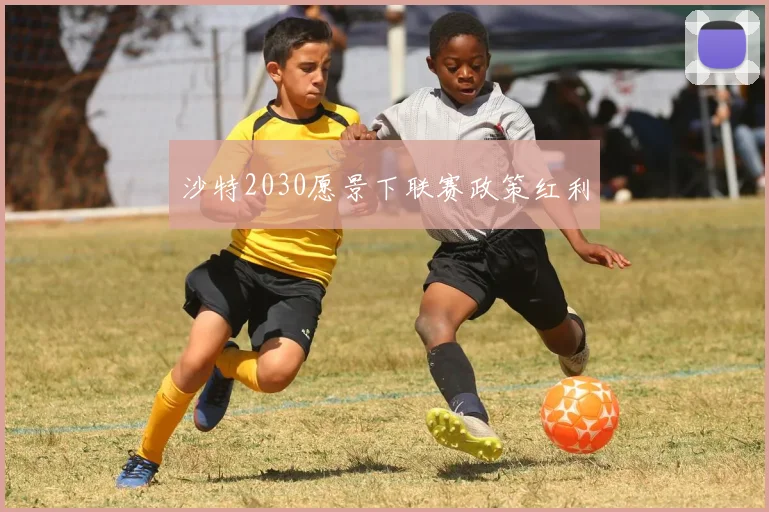 沙特2030愿景下联赛政策红利